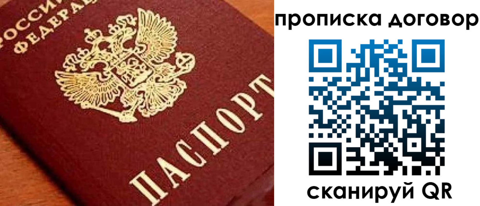 прописка поиск в Долгопрудном